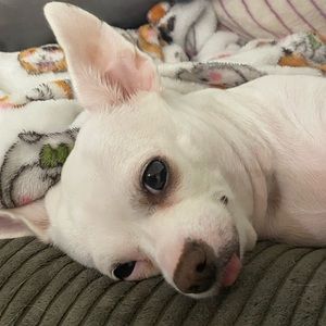 Meet your Posher, Nathaniel